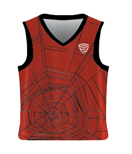 Custom Spider Web Animal Adult Youth Unisex Basketball Jersey